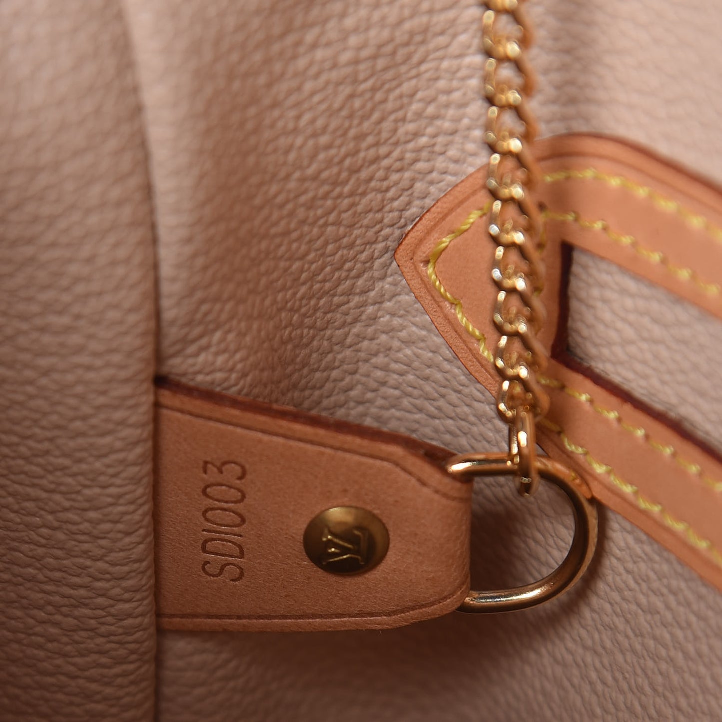 Monogram Petit Bucket 23