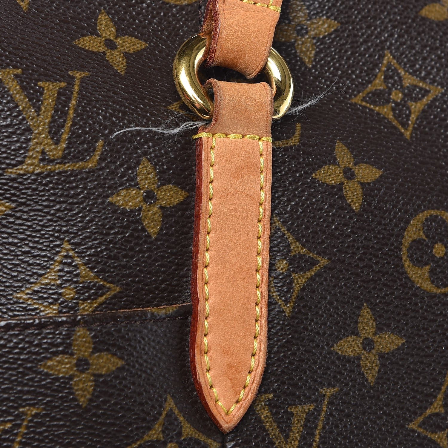 Louis Vuitton Monogram Totally MM 14 of 17