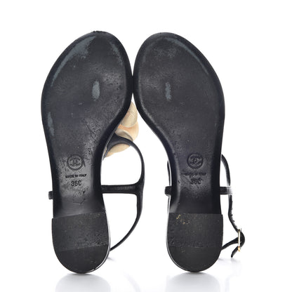 Chanel Lambskin Camellia Thong Sandals 36 Black White 7 of 16