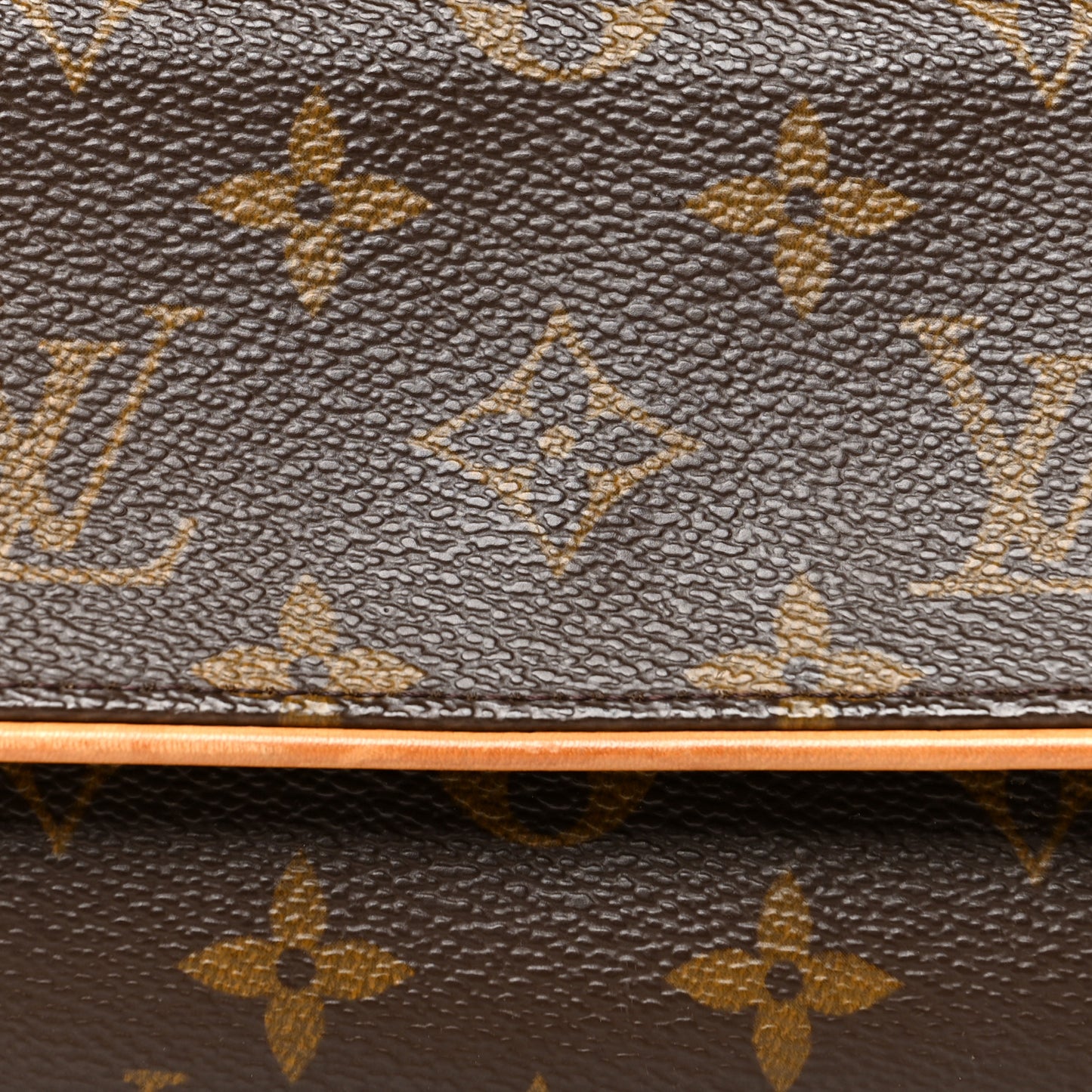 Monogram Pochette Twin PM