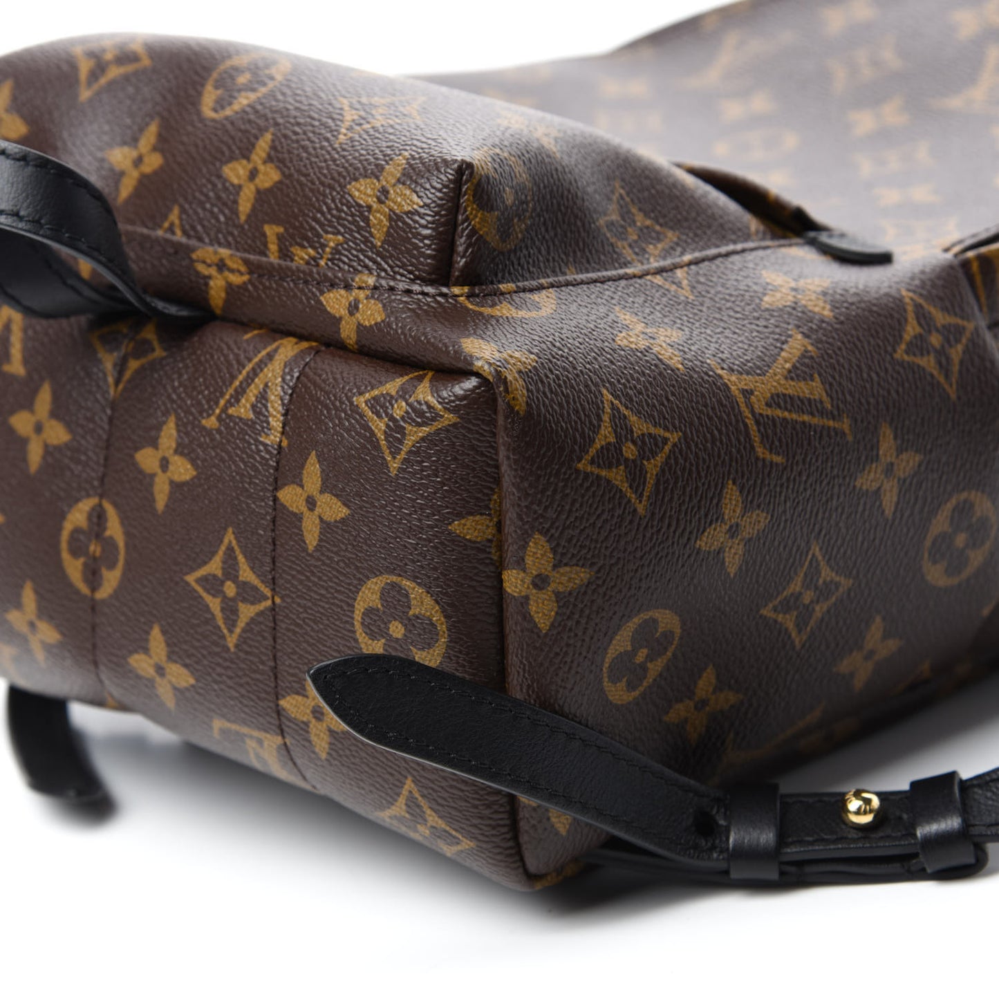 Monogram Palm Springs Backpack PM