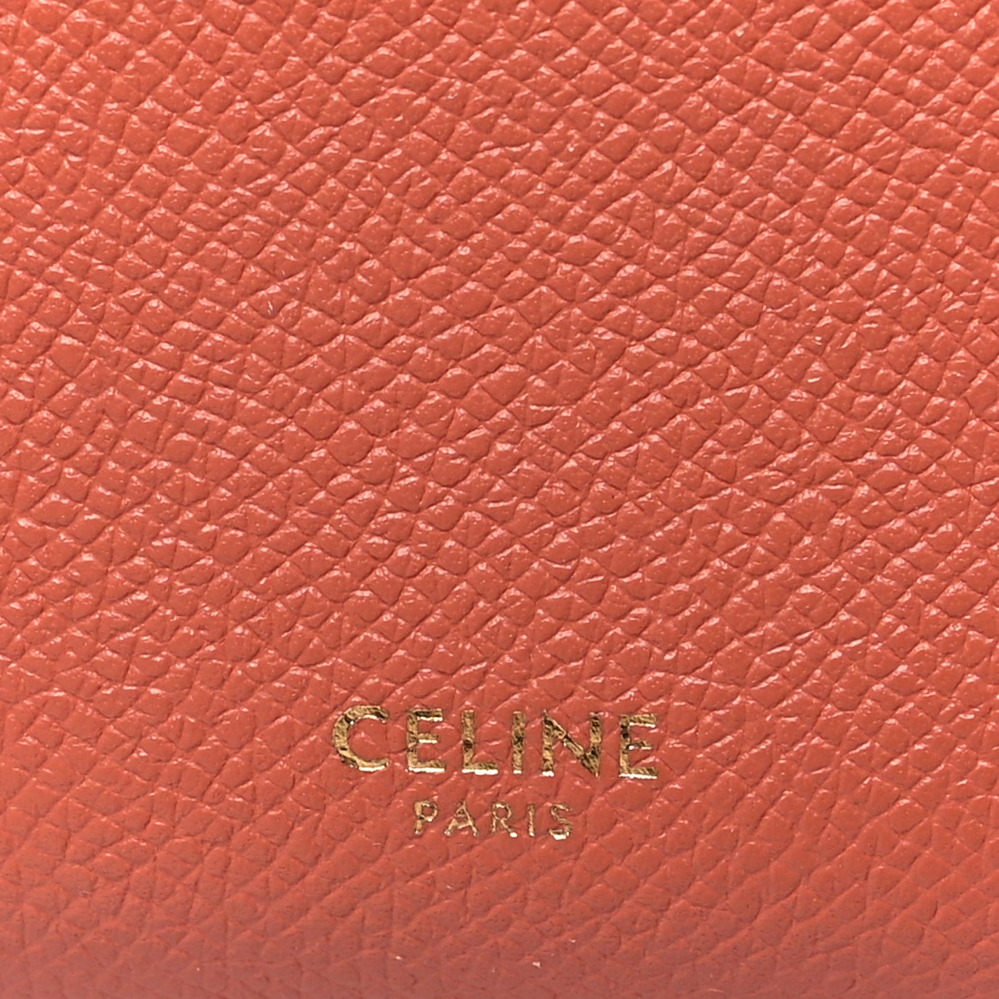 Grained Calfskin Pico Belt Bag Lychee