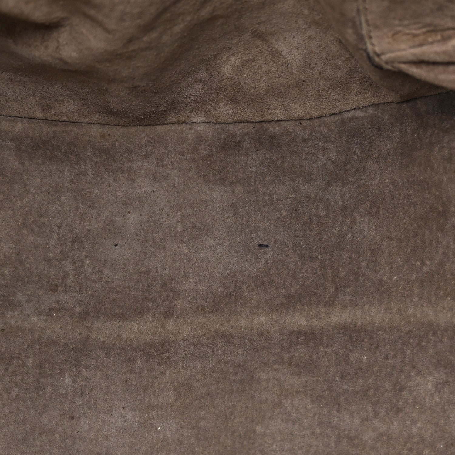 Bottega Veneta Nappa Intrecciato Large Campana Hobo Shadow 12 of 19
