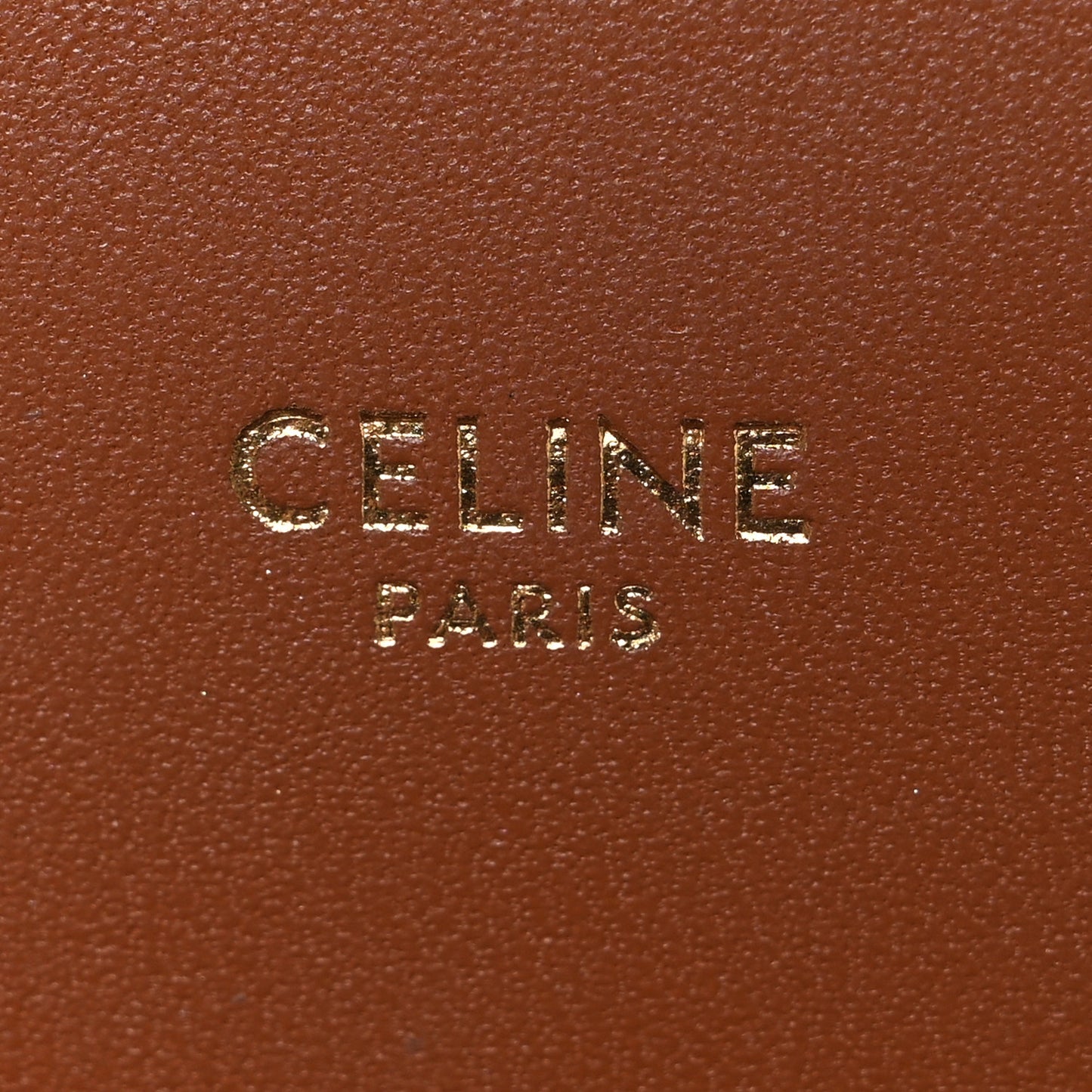Calfskin Triomphe Canvas Teen Triomphe Bag Tan