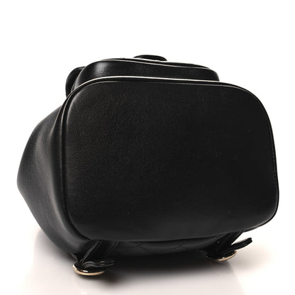 Chanel Lambskin Quilted Small Duma Drawstring Backpack Black 4 of 10