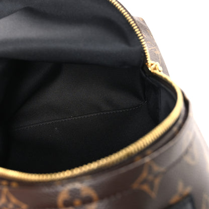 Louis Vuitton Monogram Palm Springs Backpack PM 5 of 11