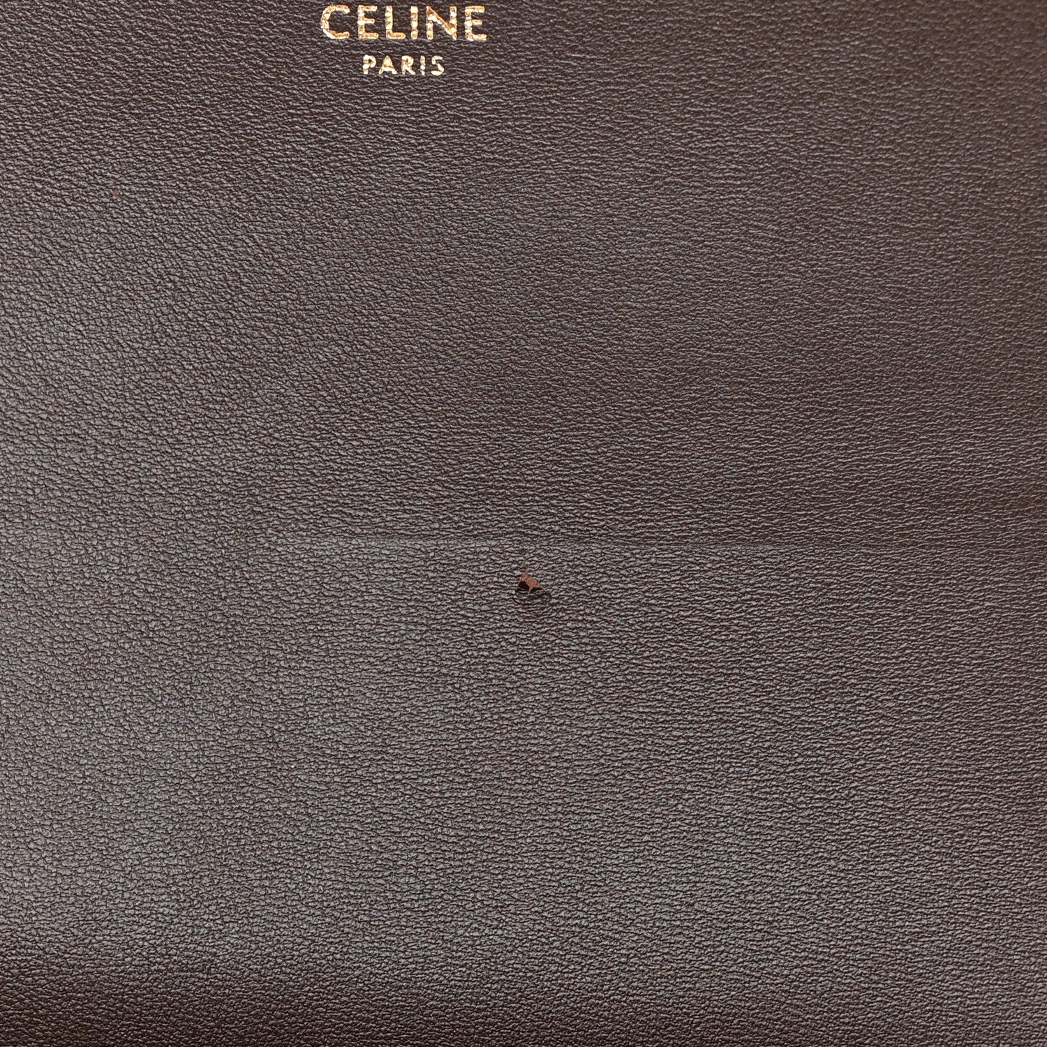 Celine Watersnake Teen Triomphe Brown 12 of 16