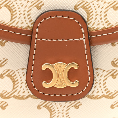 Celine Triomphe Canvas Calfskin Mini Besace Bag White 6 of 8