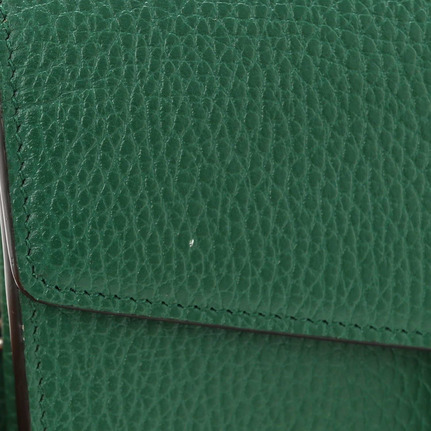 Gucci Calfskin Mini Dionysus Chain Wallet Emerald 11 of 11