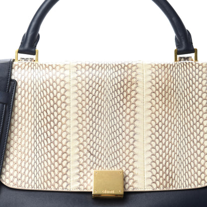 Celine Cobra Calfskin Suede Small Tri-Color Trapeze Natural 9 of 9