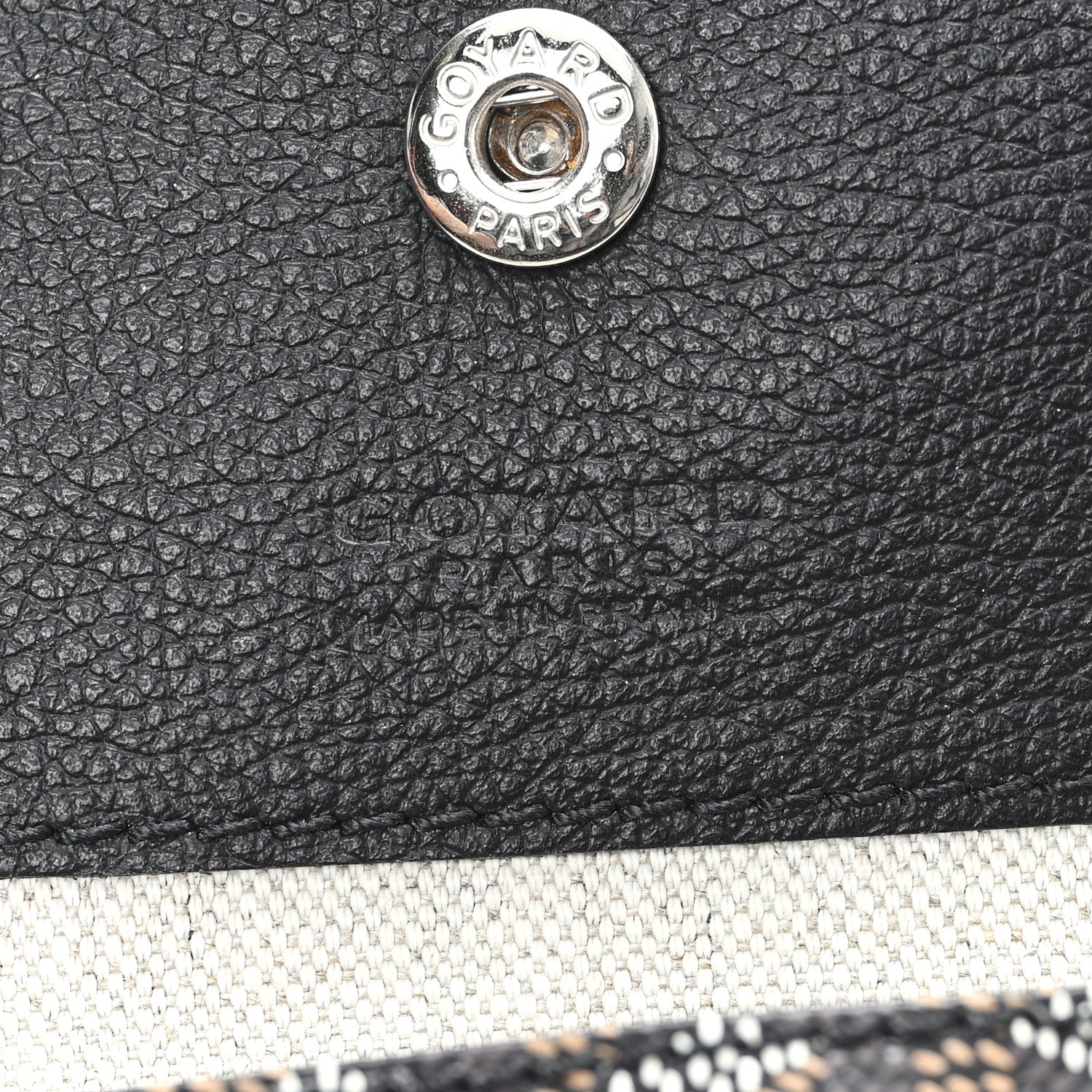 Goyard Goyardine Saint Louis PM Black 7 of 11