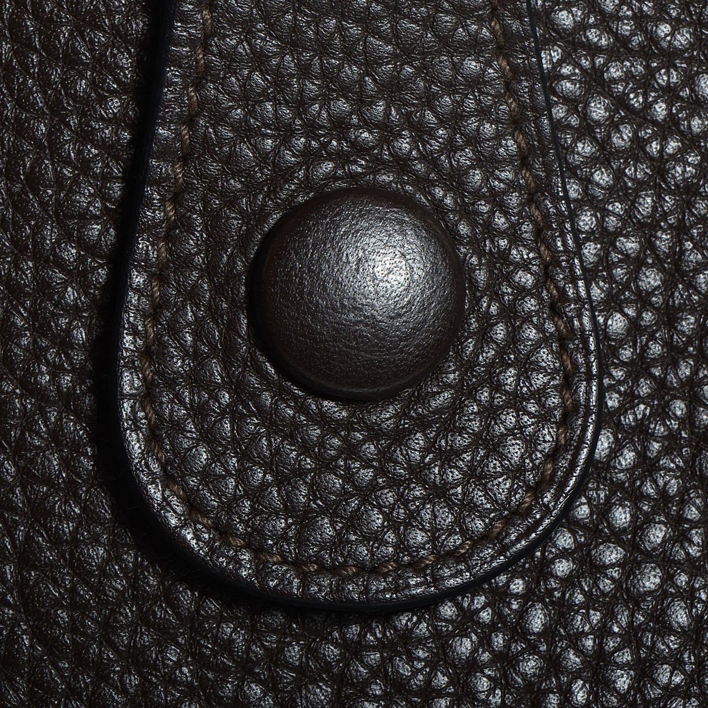 Taurillon Clemence Evelyne GM Chocolate