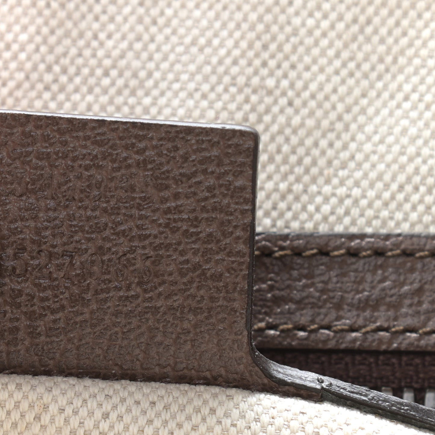 GG Supreme Monogram Web Ophidia Half Moon Hobo Brown
