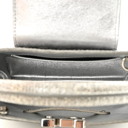 Louis Vuitton Lizard Mini Capucines Argento 6 of 16