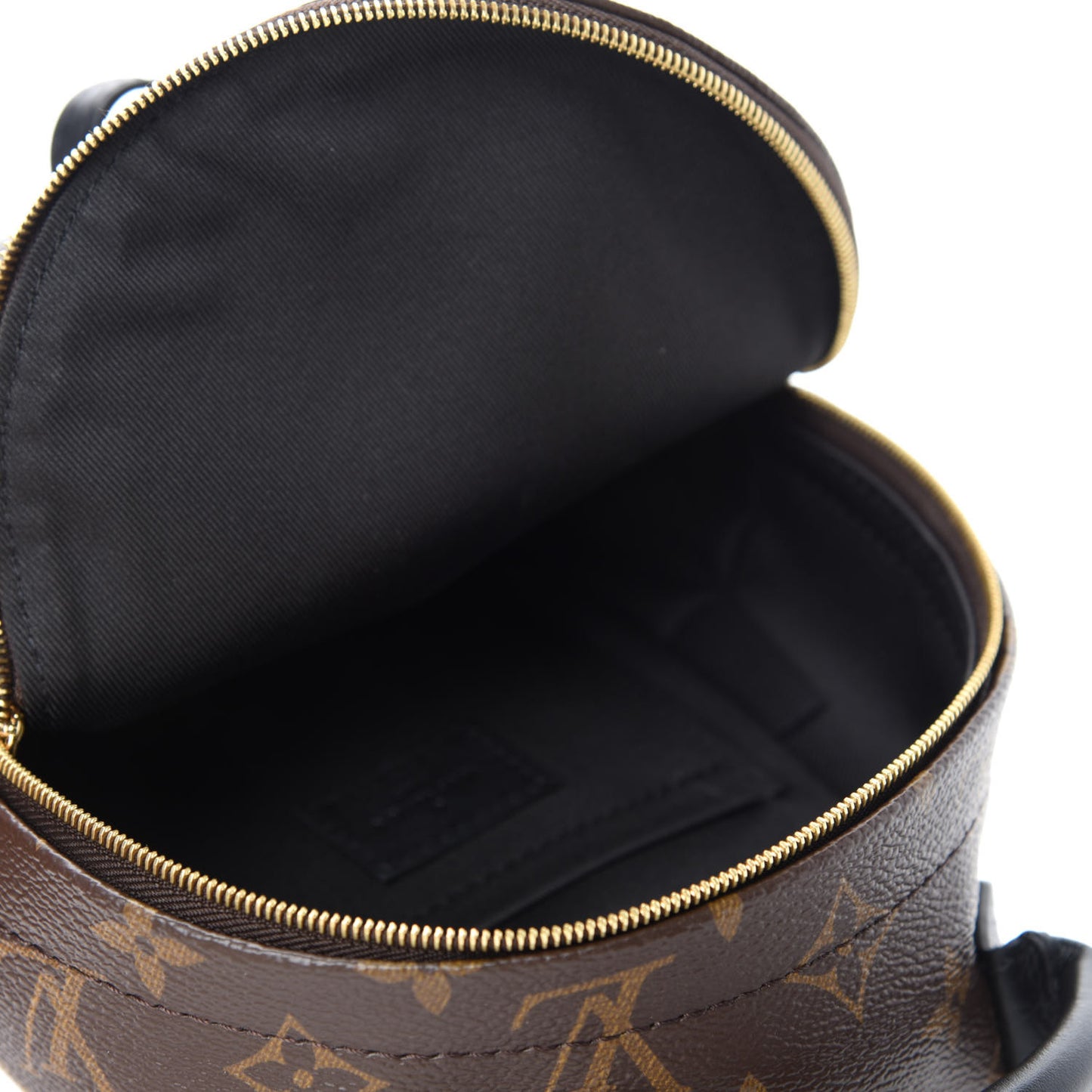Monogram Palm Springs Backpack Mini