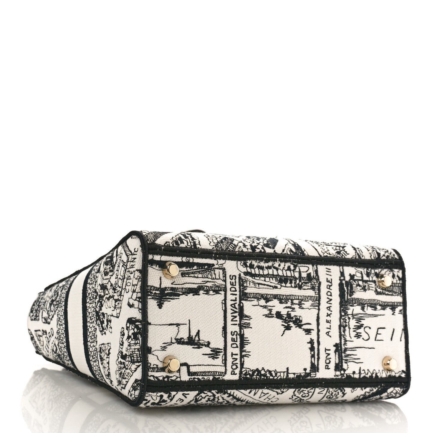 Canvas Embroidered Plan de Paris Medium Lady D-Lite White Black