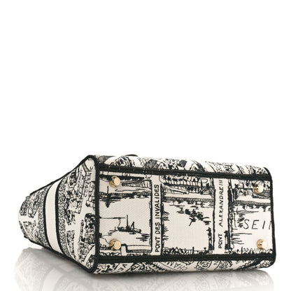 Christian Dior Canvas Embroidered Plan de Paris Medium Lady D-Lite White Black 4 of 8