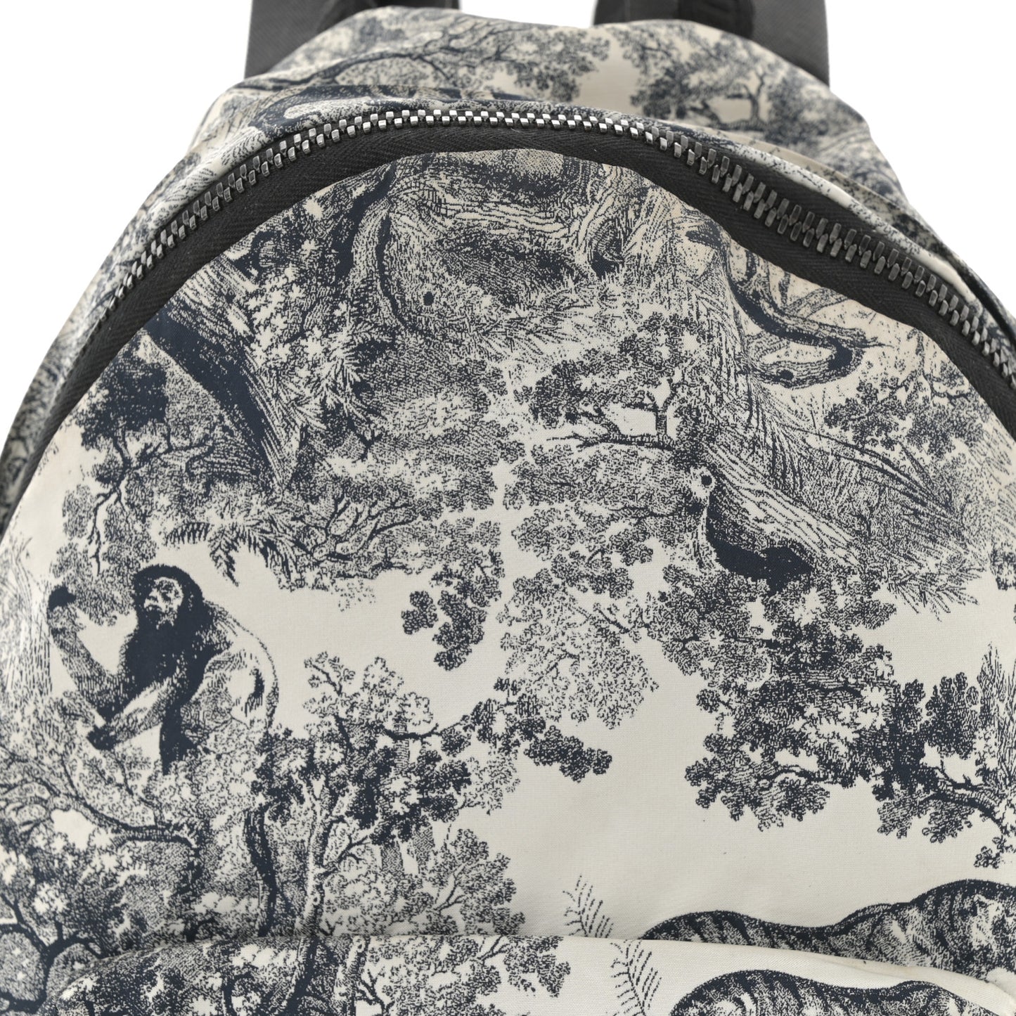 Nylon Technical Fabric Toile De Jouy Small Diortravel Backpack Blue