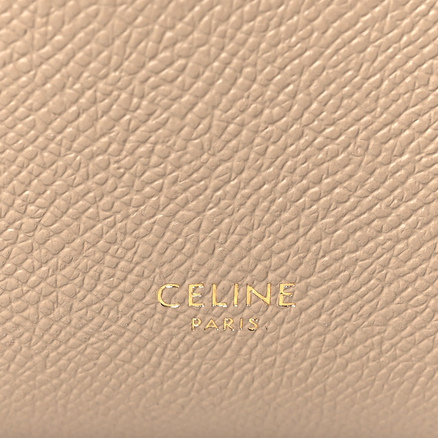 Grained Calfskin Pico Belt Bag Light Taupe