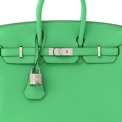 Hermes Togo Birkin 25 Vert Comics 8 of 11