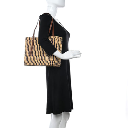 Loewe Raffia Paula's Ibiza Reed Square Basket Tote Bag Natural Black Pecan 2 of 9