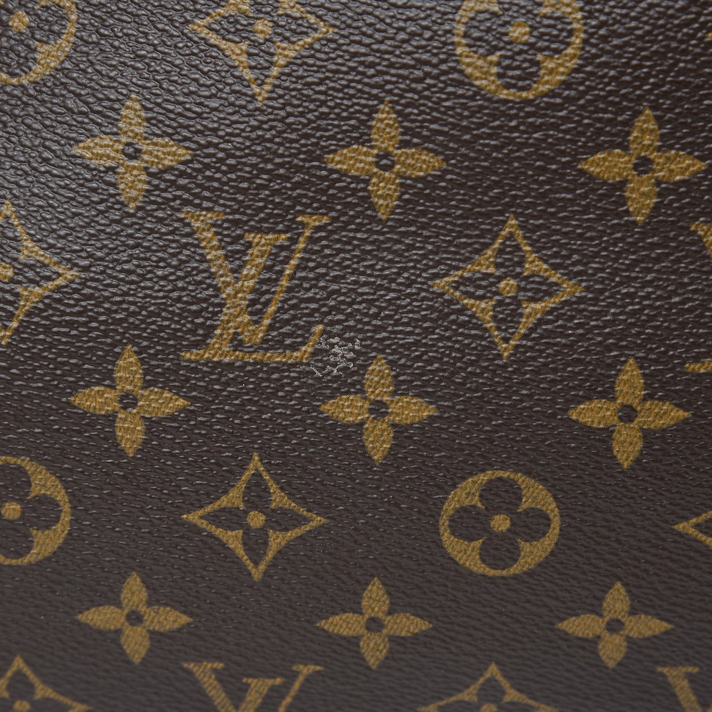 Monogram Artsy MM