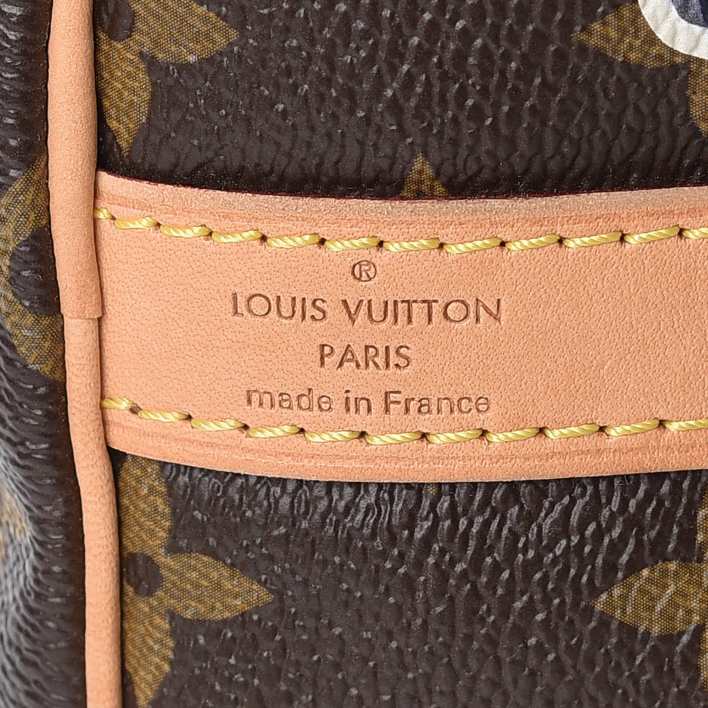 Monogram World Tour Speedy Bandouliere 30