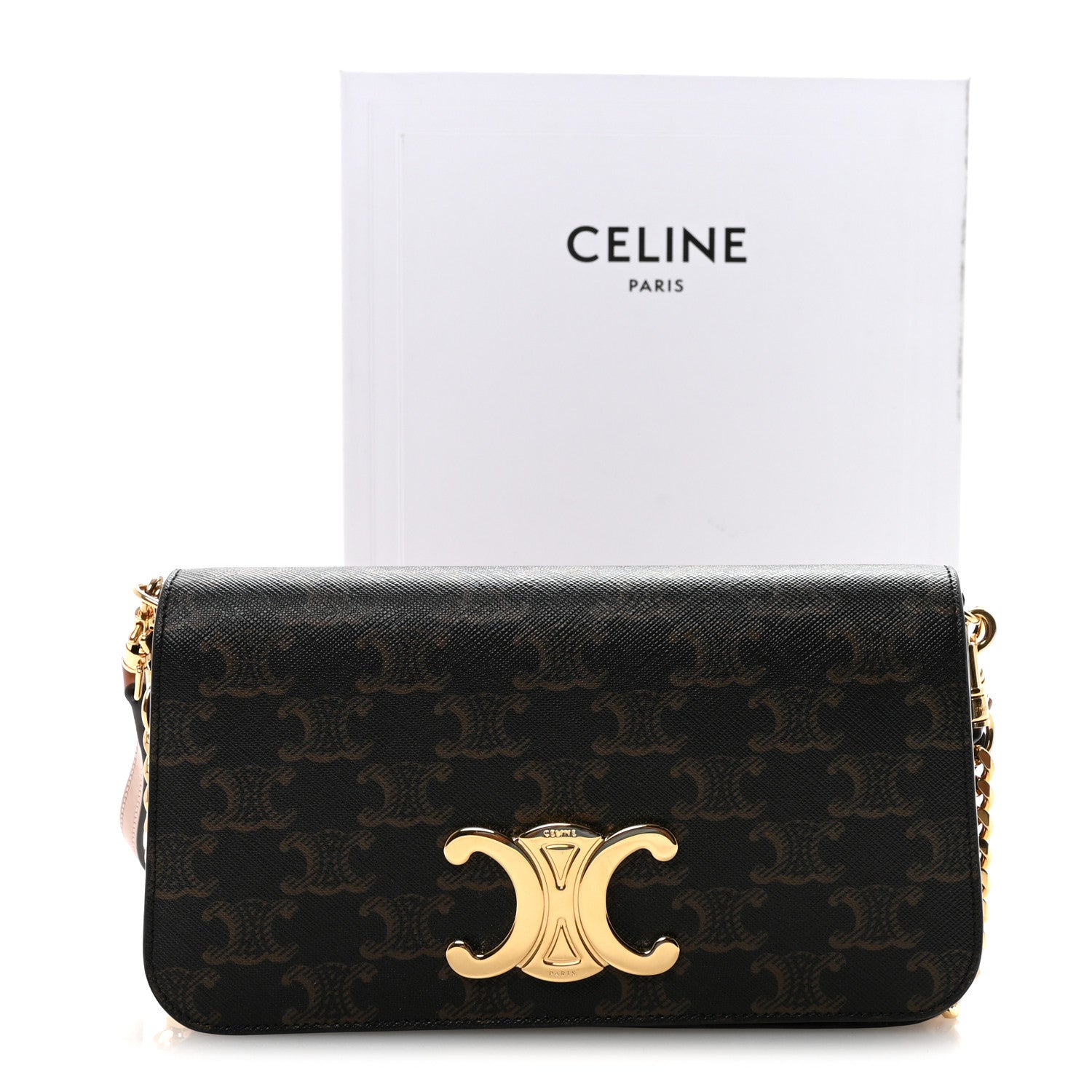 Celine Triomphe Canvas Multipochette Tan 10 of 10
