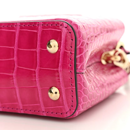 Louis Vuitton Crocodile Nano Capucines 9 of 10