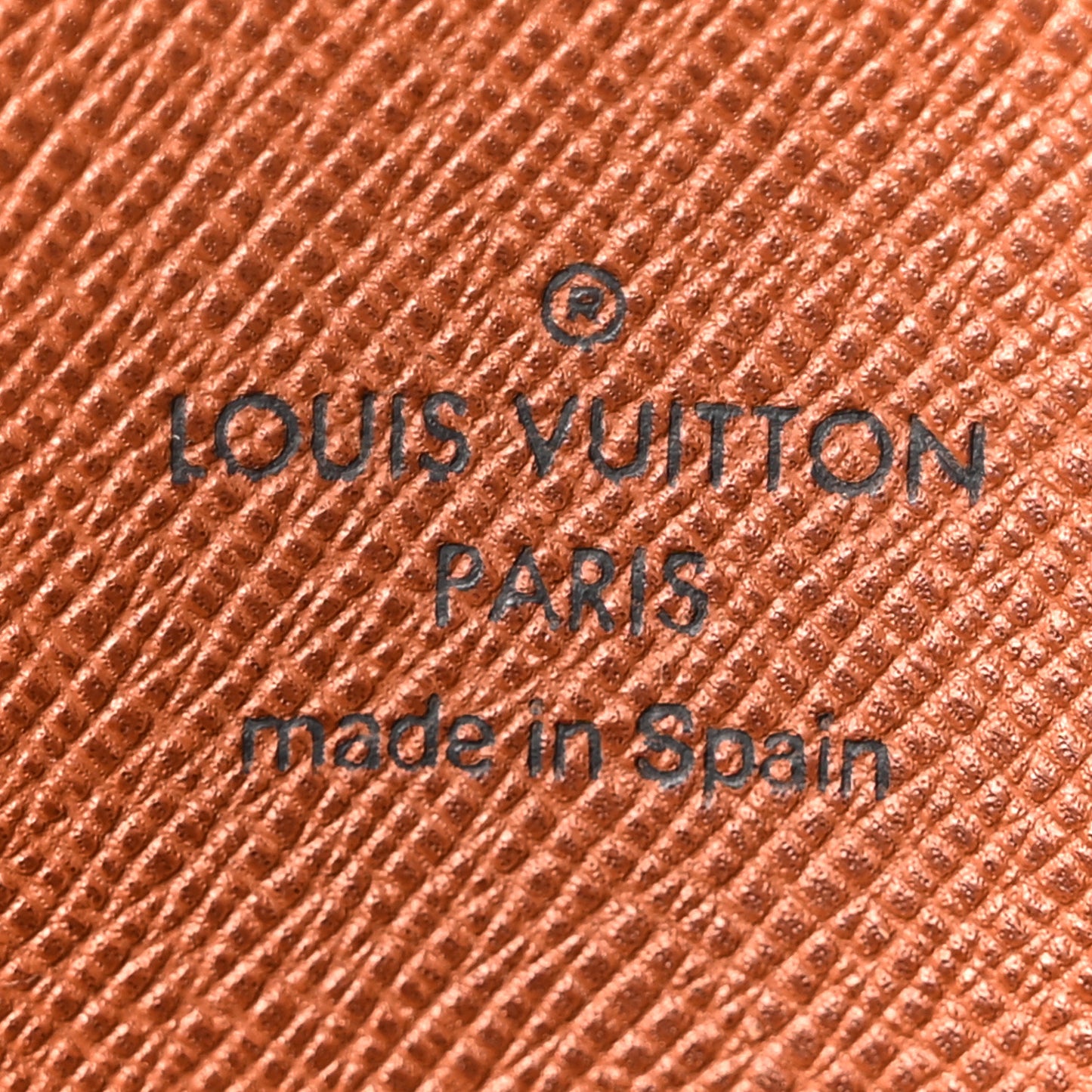 Monogram Musette Salsa
