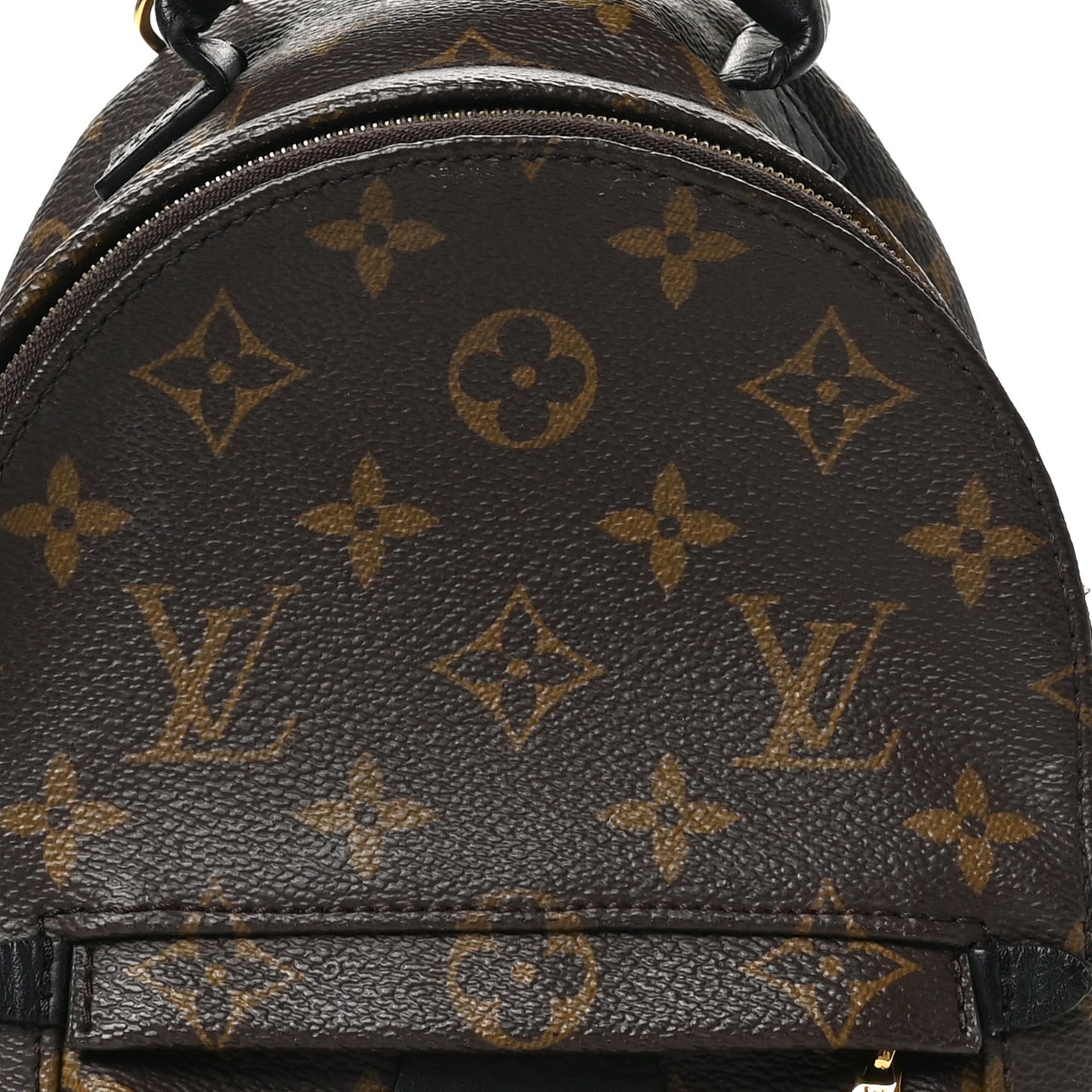 Monogram Palm Springs Backpack Mini