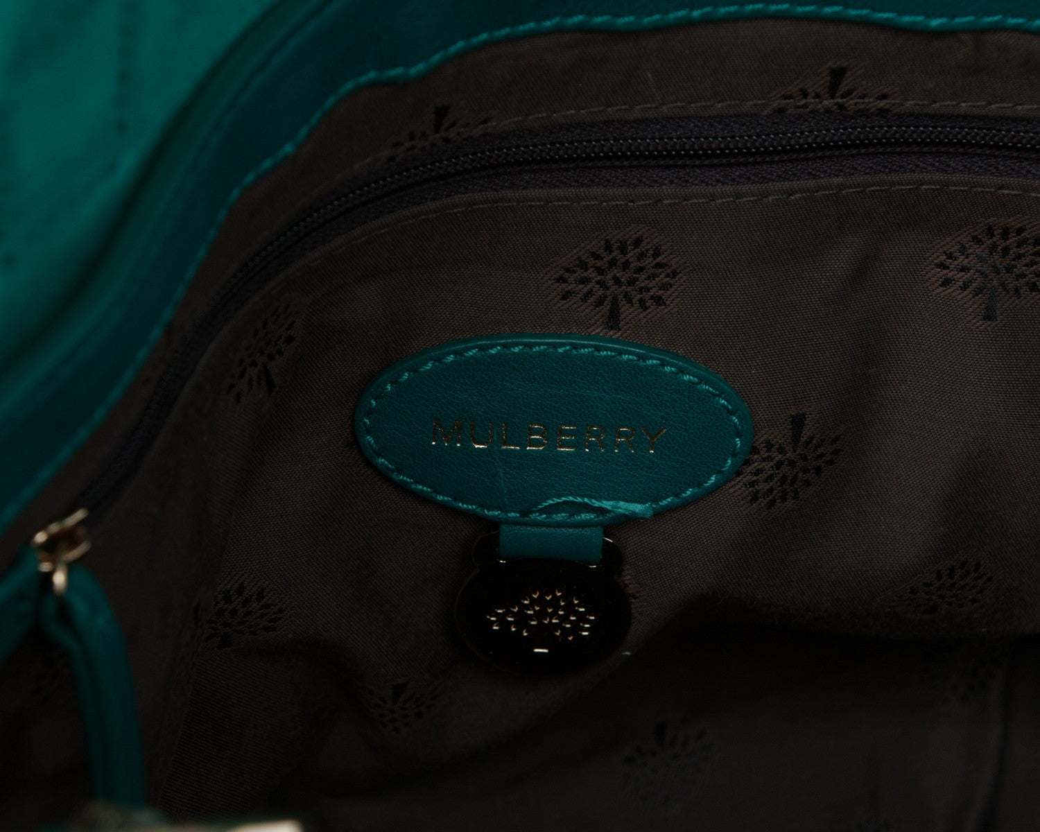 Mulberry Micrograin Calfskin Lizard Printed Medium Alexa Emerald 7 of 10