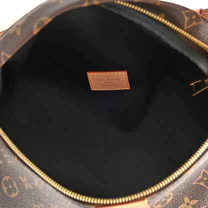 Louis Vuitton Monogram Bumbag 5 of 7