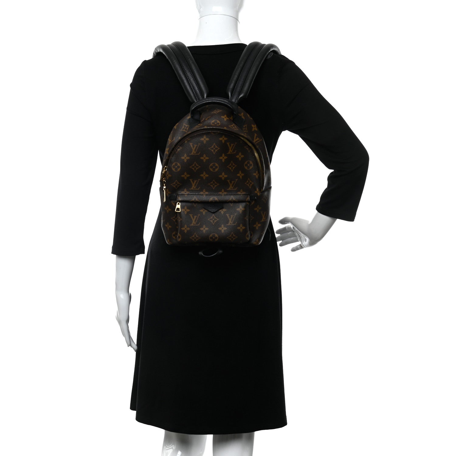 Louis Vuitton Monogram Palm Springs Backpack PM 2 of 10