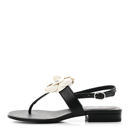 Chanel Lambskin Camellia Thong Sandals 35 Black White 1 of 9