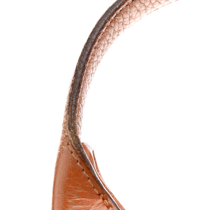 Hermes Togo Trim II 31 Hobo Potiron 18 of 19