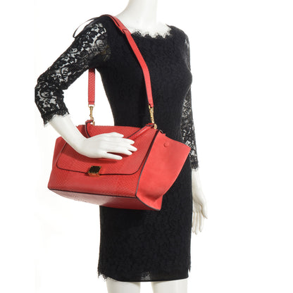 Celine Python and Suede Medium Trapeze Vermillion 2 of 10