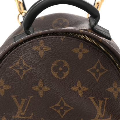 Louis Vuitton Monogram Palm Springs Backpack Mini 7 of 11