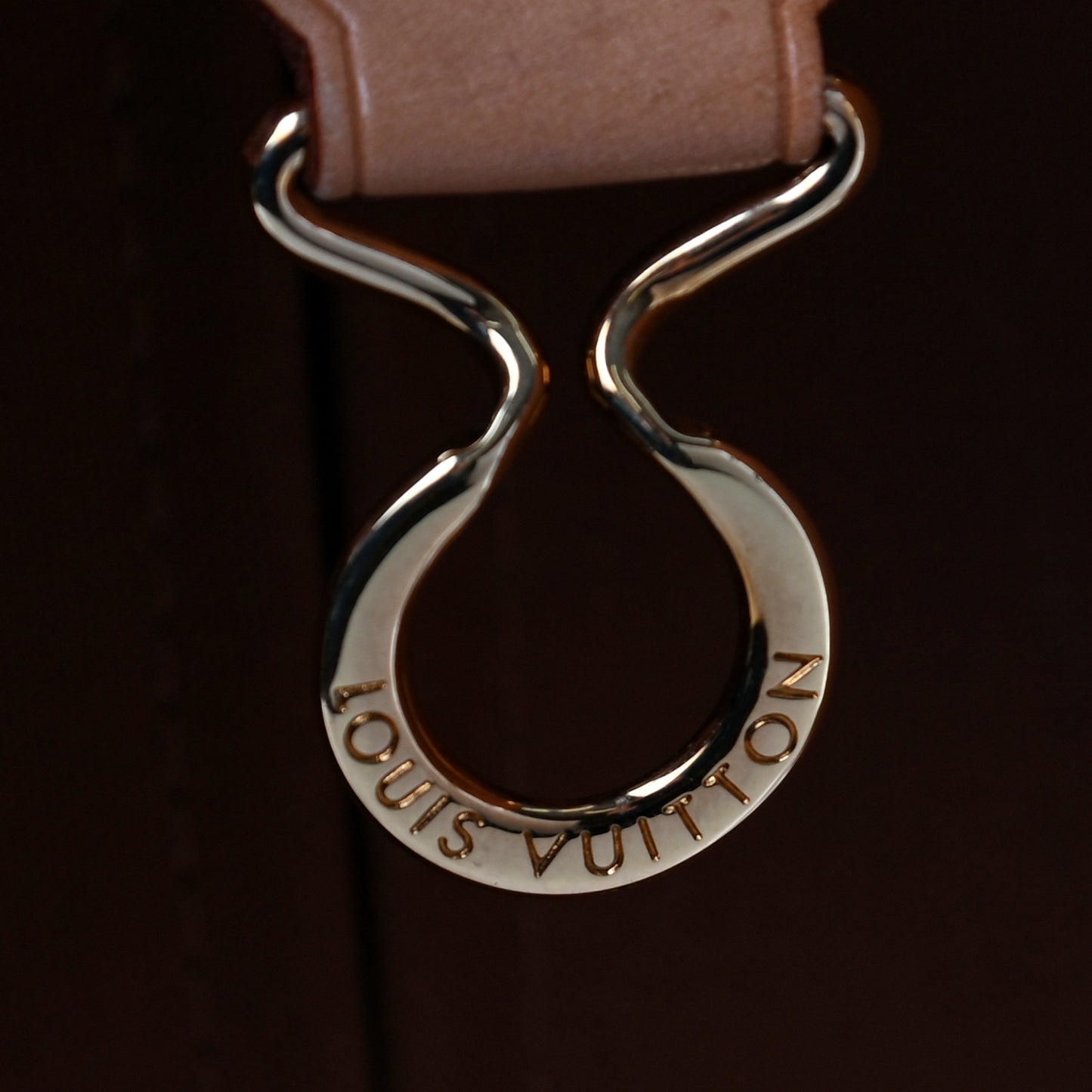 Monogram Pegase 55
