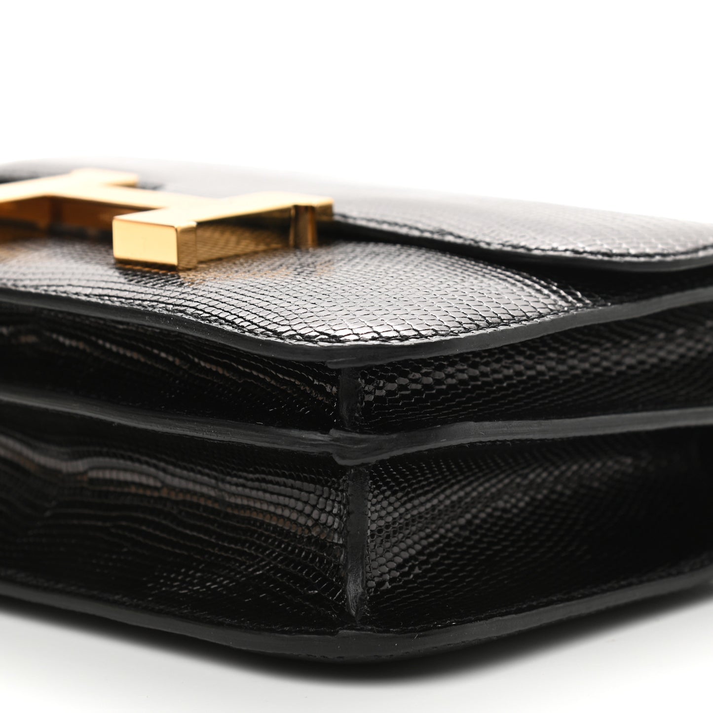 Lizard Constance 18 Black
