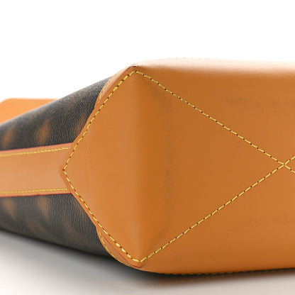 Louis Vuitton Monogram Blurry Hobo Cruiser PM 8 of 9