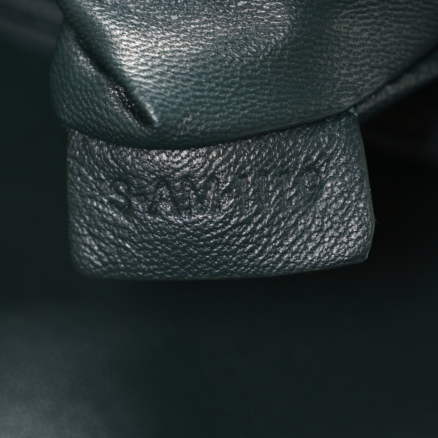 Celine Shiny Calfskin Medium Triomphe Amazone 8 of 12