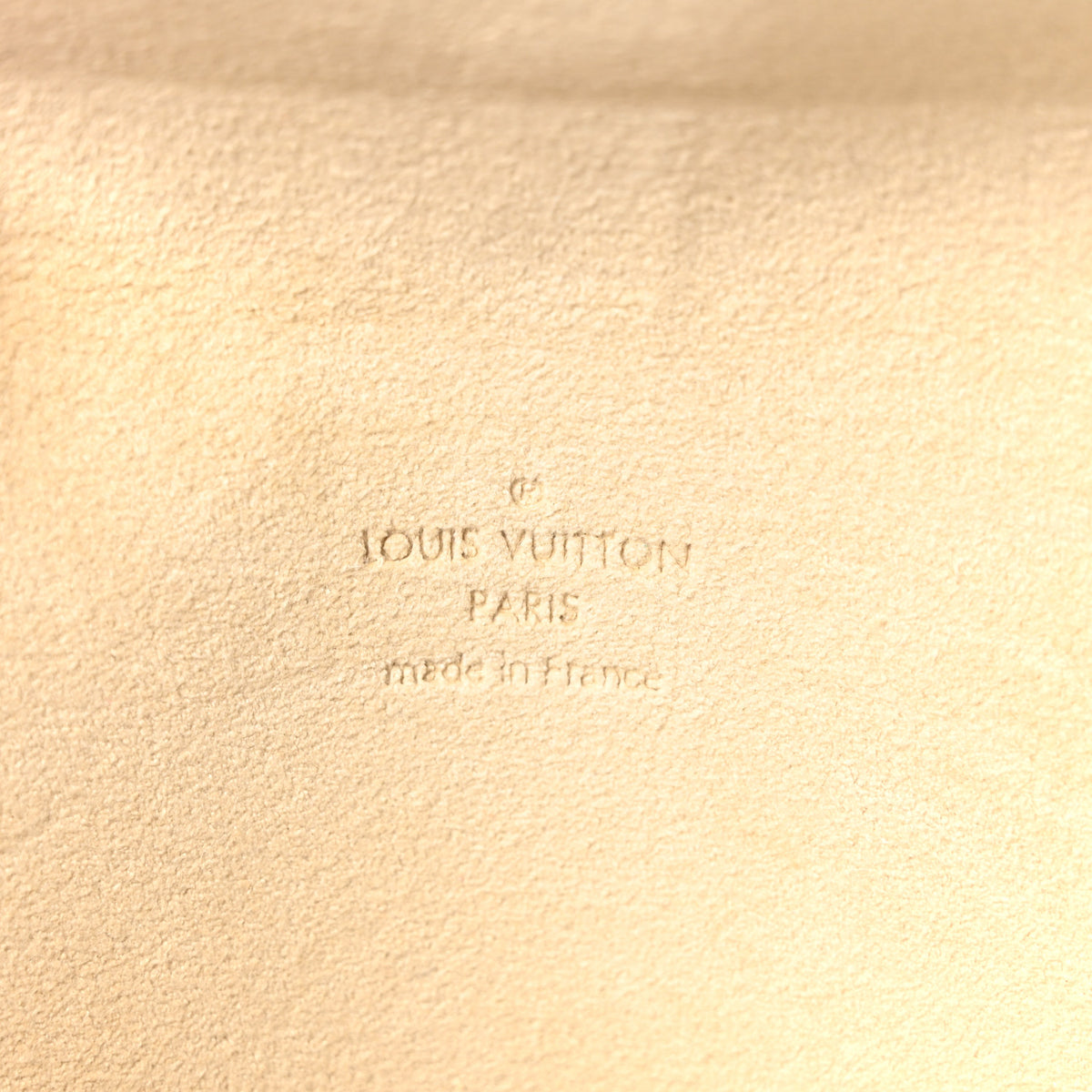 Monogram Pochette Florentine M
