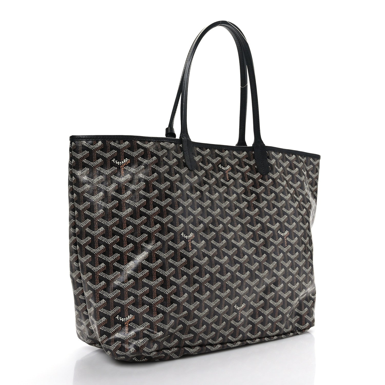 Goyard Goyardine Saint Louis PM Black 4 of 10