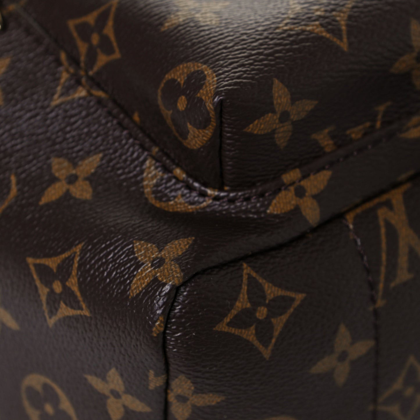 Monogram Palm Springs Backpack PM