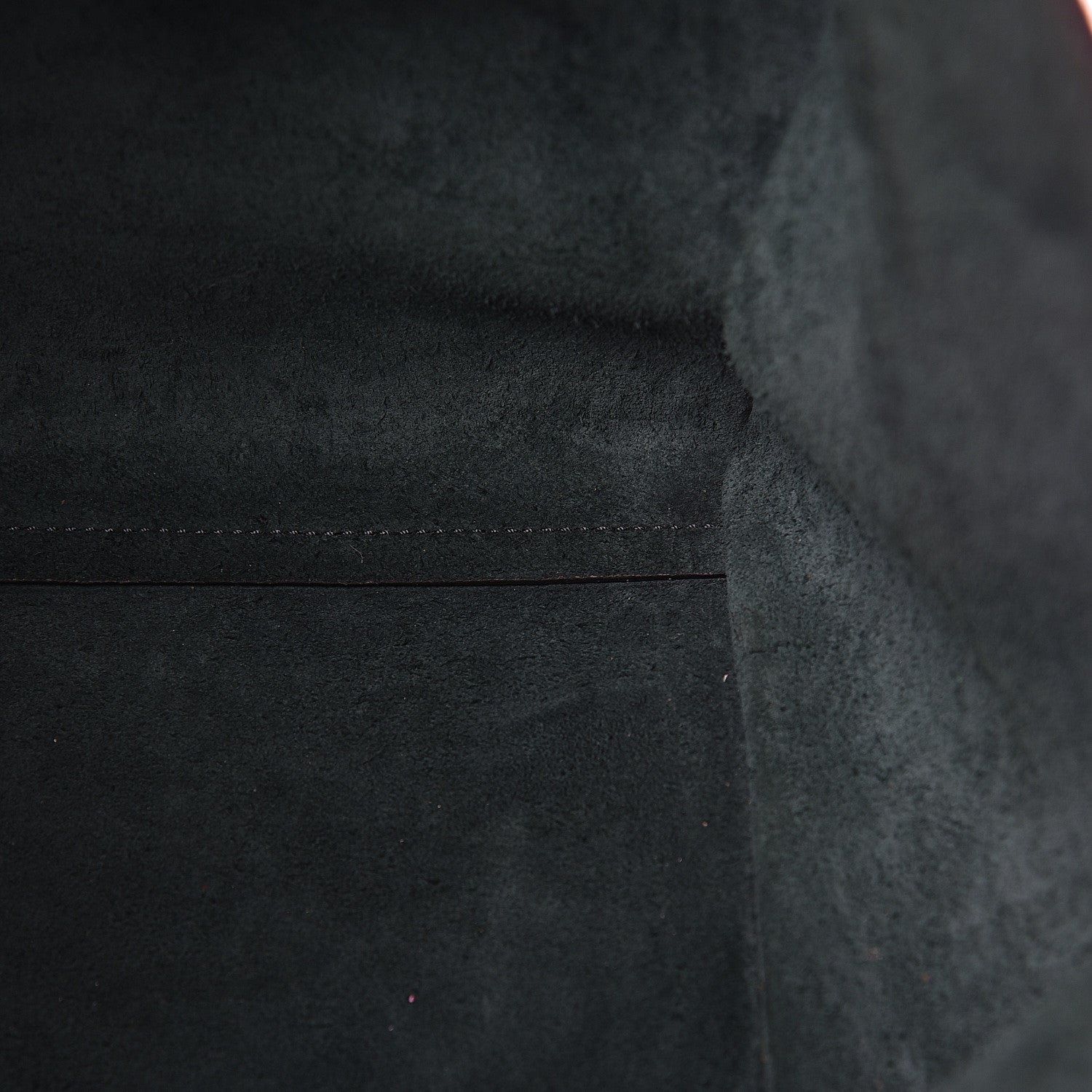 Celine Supple Grained Calfskin Small Big Bag Amazone 14 of 21