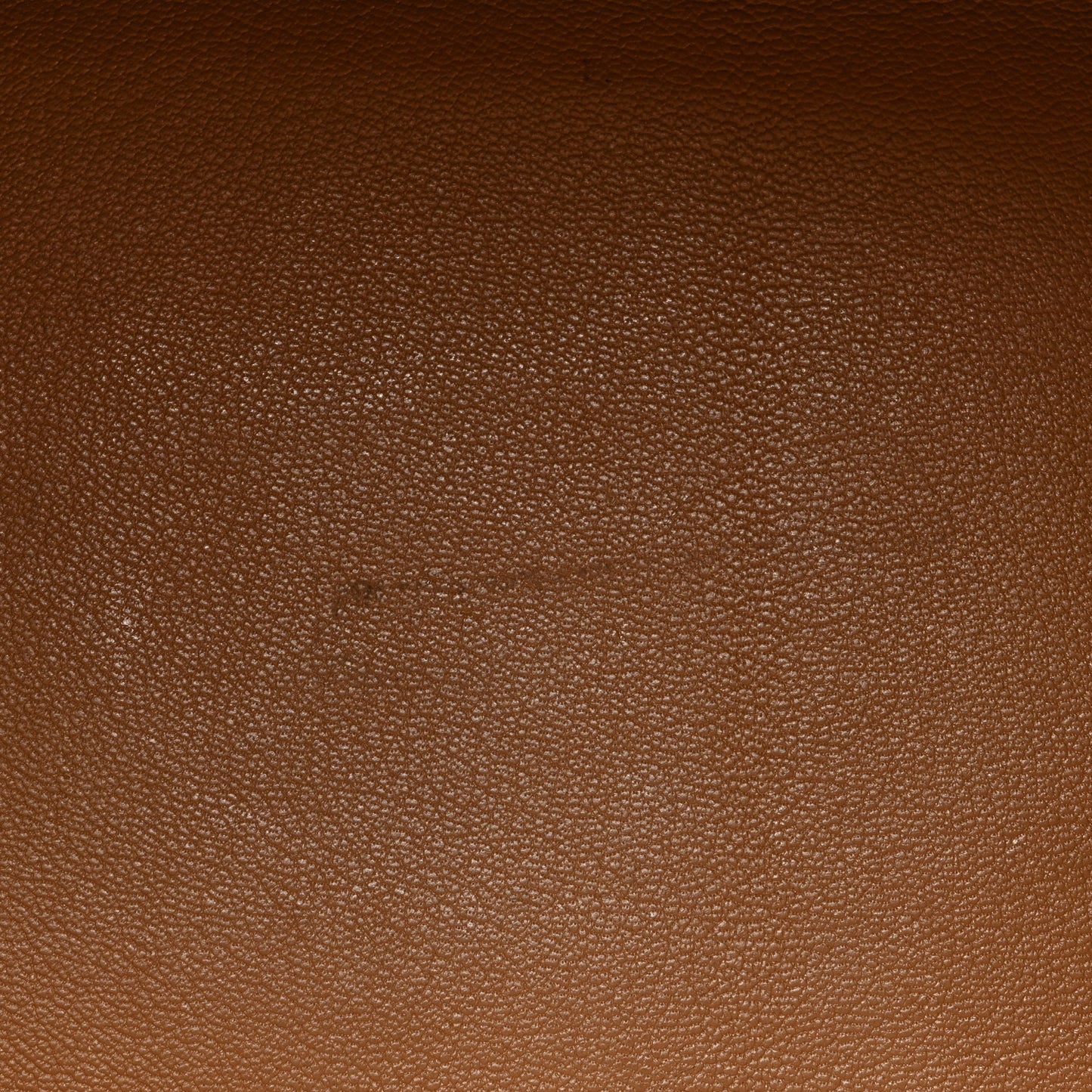 Courchevel Birkin 30 Gold