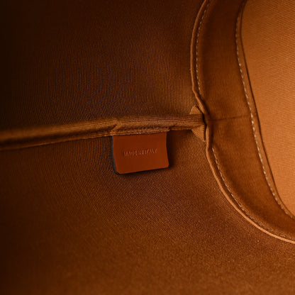 Celine Triomphe Canvas Calfskin Small Bucket Bag Tan 7 of 10