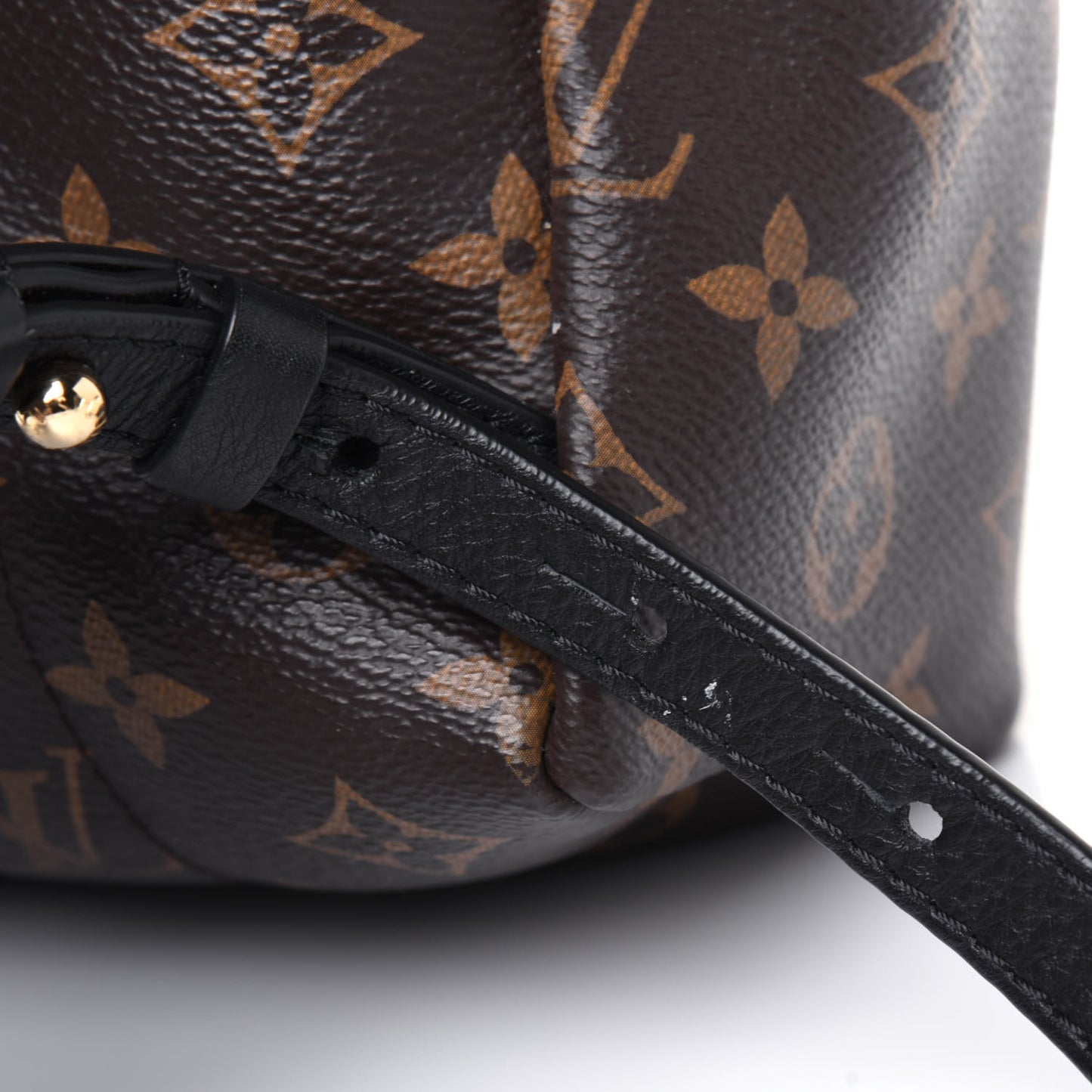 Monogram Palm Springs Backpack PM