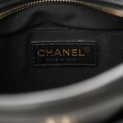 Chanel Goatskin Quilted Small Casual Trip Camera Case Black 6 of 12